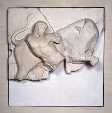 Héraclès domptant le taureau de Crète Maître d’Olympie